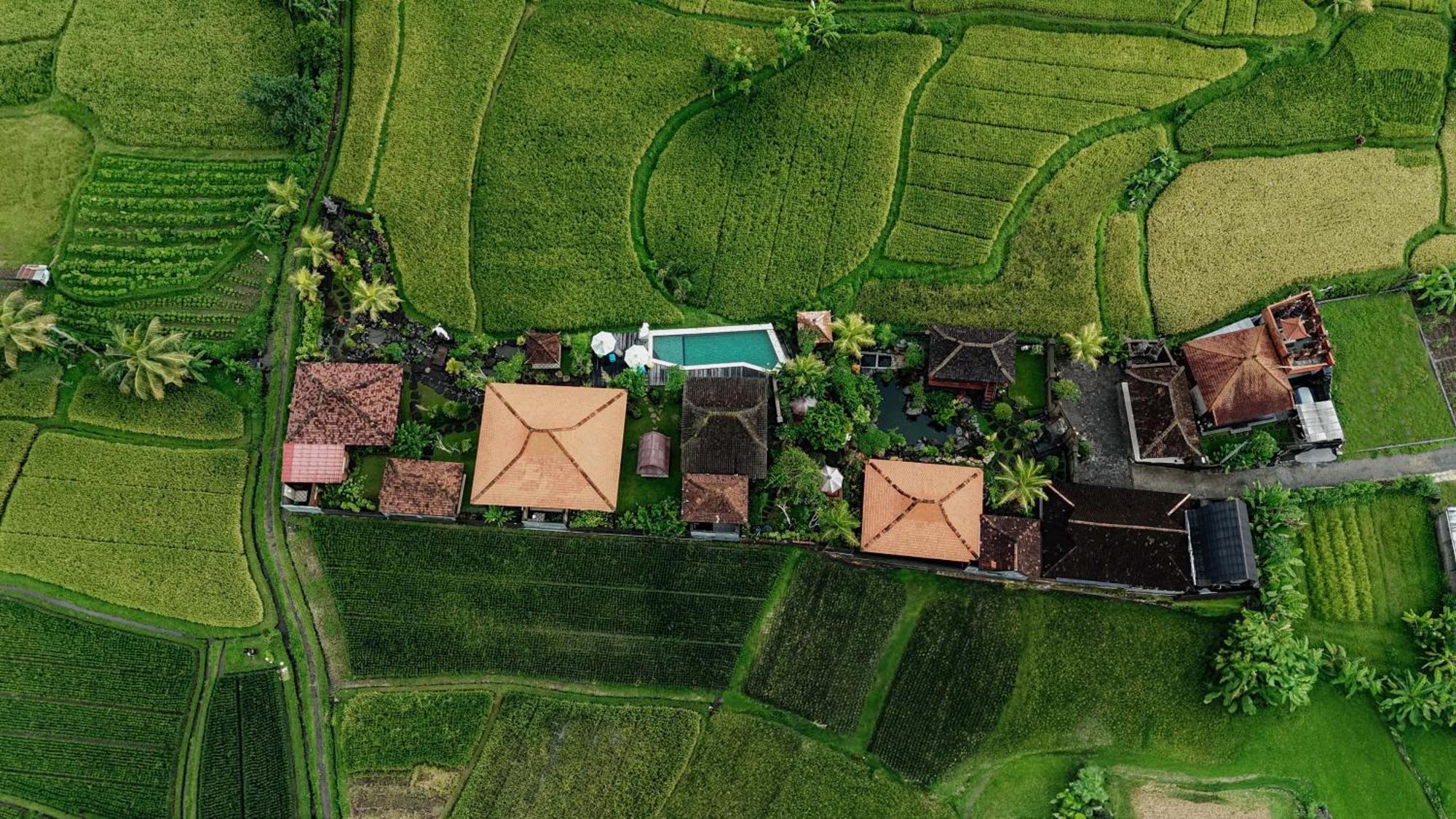 Billys Ayodya Villa Perean Exteriör bild